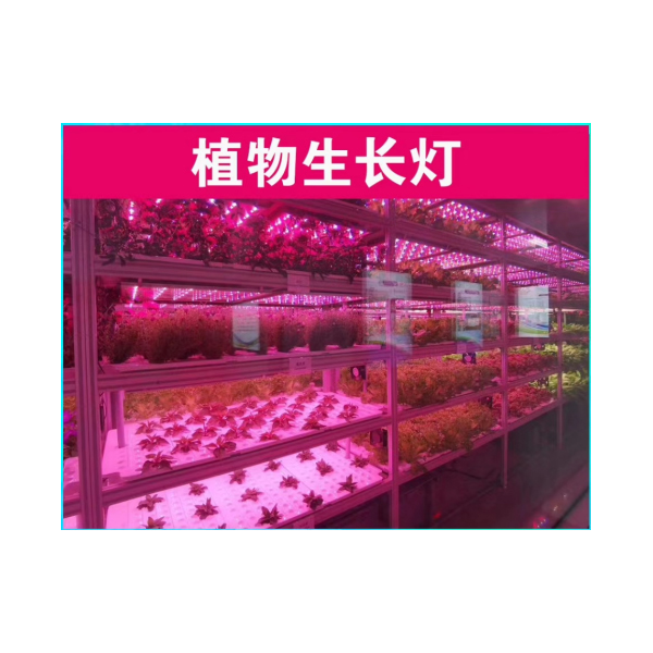 植物生长灯